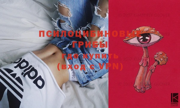тгк Верея