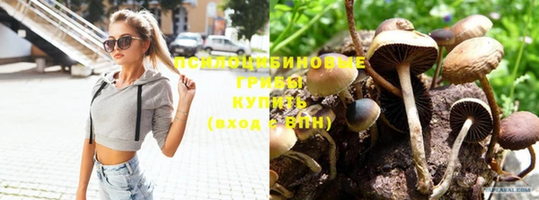 амф Бугульма