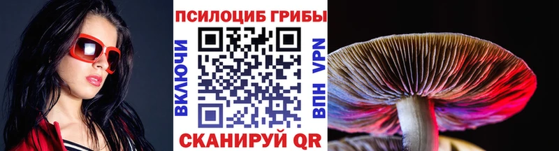 дарнет шоп  Миллерово  Псилоцибиновые грибы GOLDEN TEACHER 